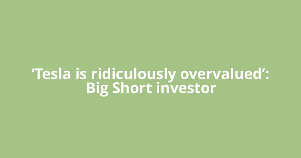 ‘Tesla is ridiculously overvalued’: Big Short investor