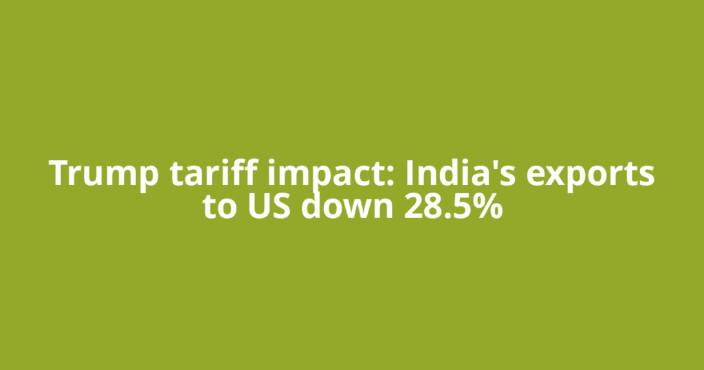 Trump tariff impact: India's exports to US down 28.5%