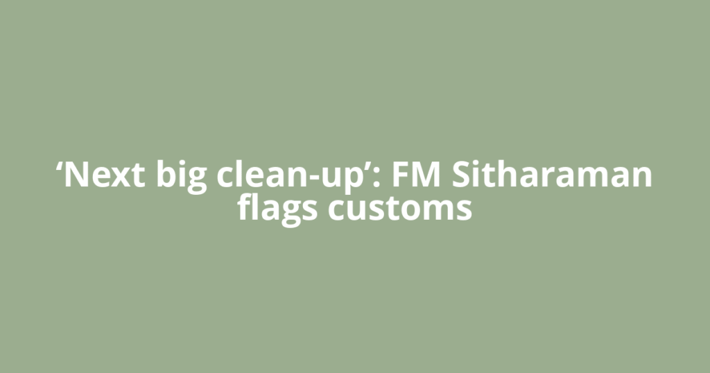 ‘Next big clean-up’: FM Sitharaman flags customs