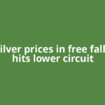 Gold, silver prices in free fall! Silver hits lower circuit
