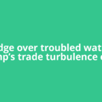 Bridge over troubled waters: Trump’s trade turbulence casts