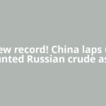 New record! China laps up discounted Russian crude as India