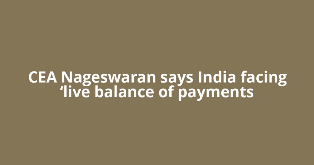 CEA Nageswaran says India facing ‘live balance of payments